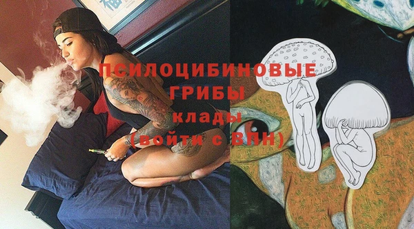 каннабис Верея
